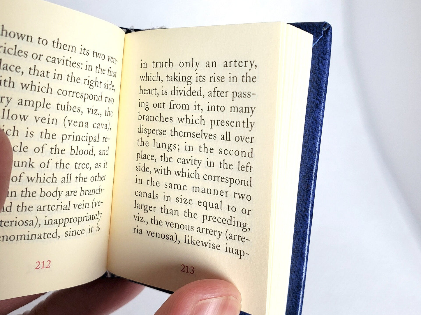 Discourse on the Method by René Descartes Miniature Book English Text