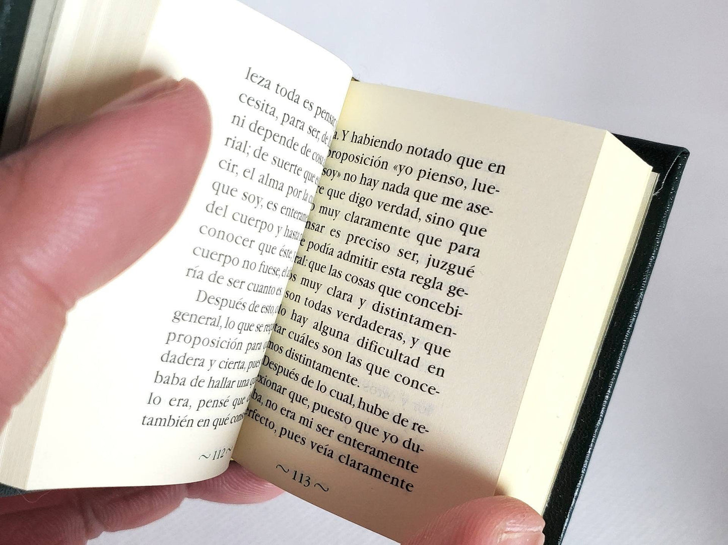 Discurso del Método | Meditaciones Metafísicas by René Descartes (Discourse on the Method) Spanish Language Miniature Book