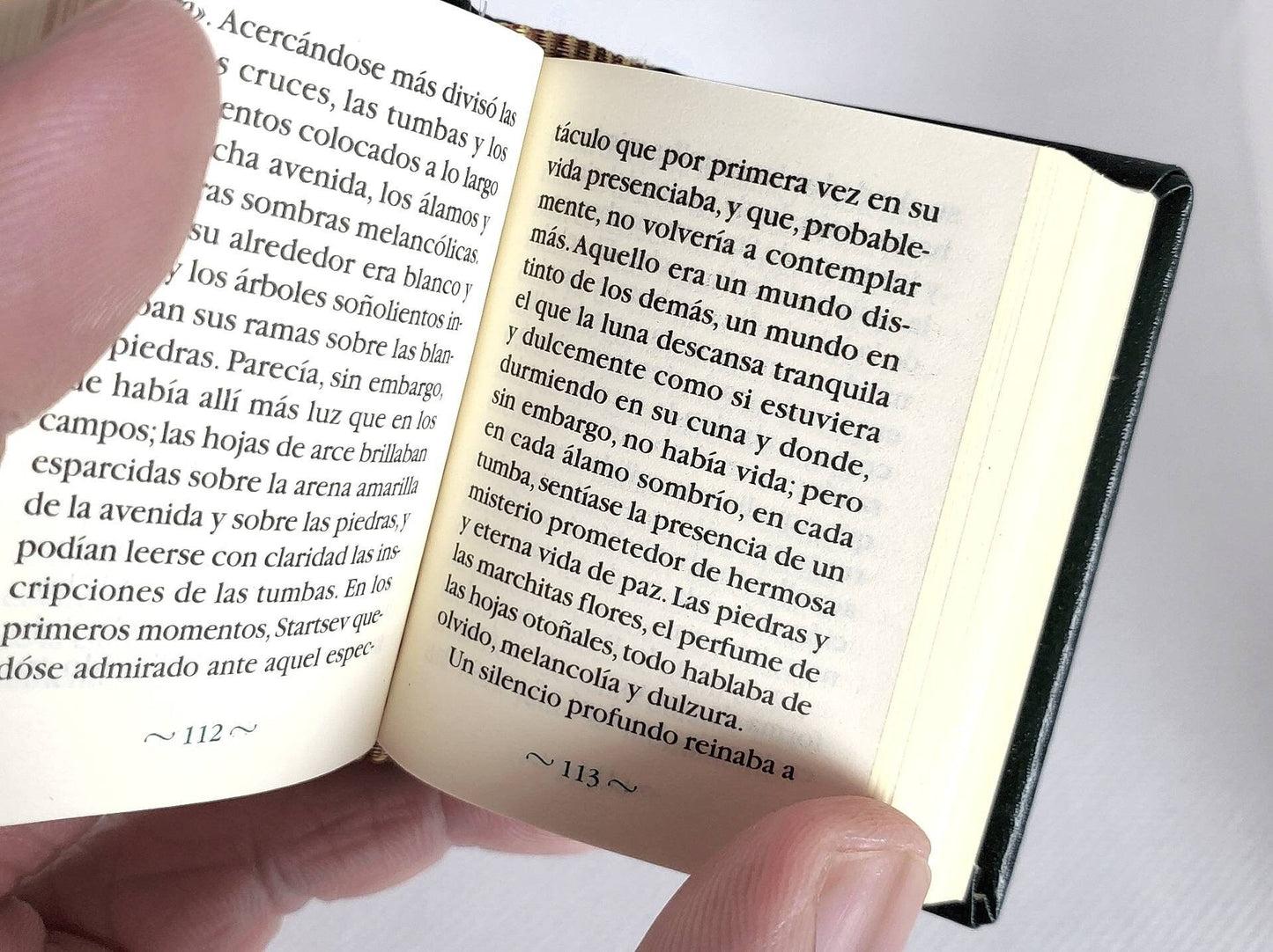 Cuentos by Antón Chéjov Spanish Language Miniature Book