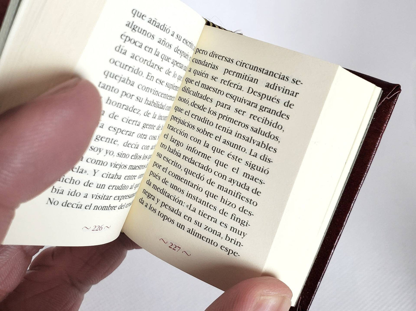 La Metamorfosis by Franz Kafka Spanish Language Miniature Book
