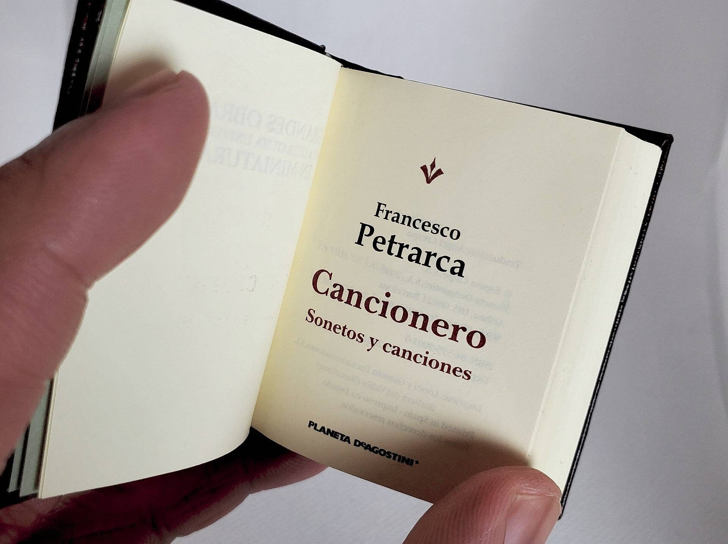 Cancionero Sonetos y Canciones by Francesco Petrarca