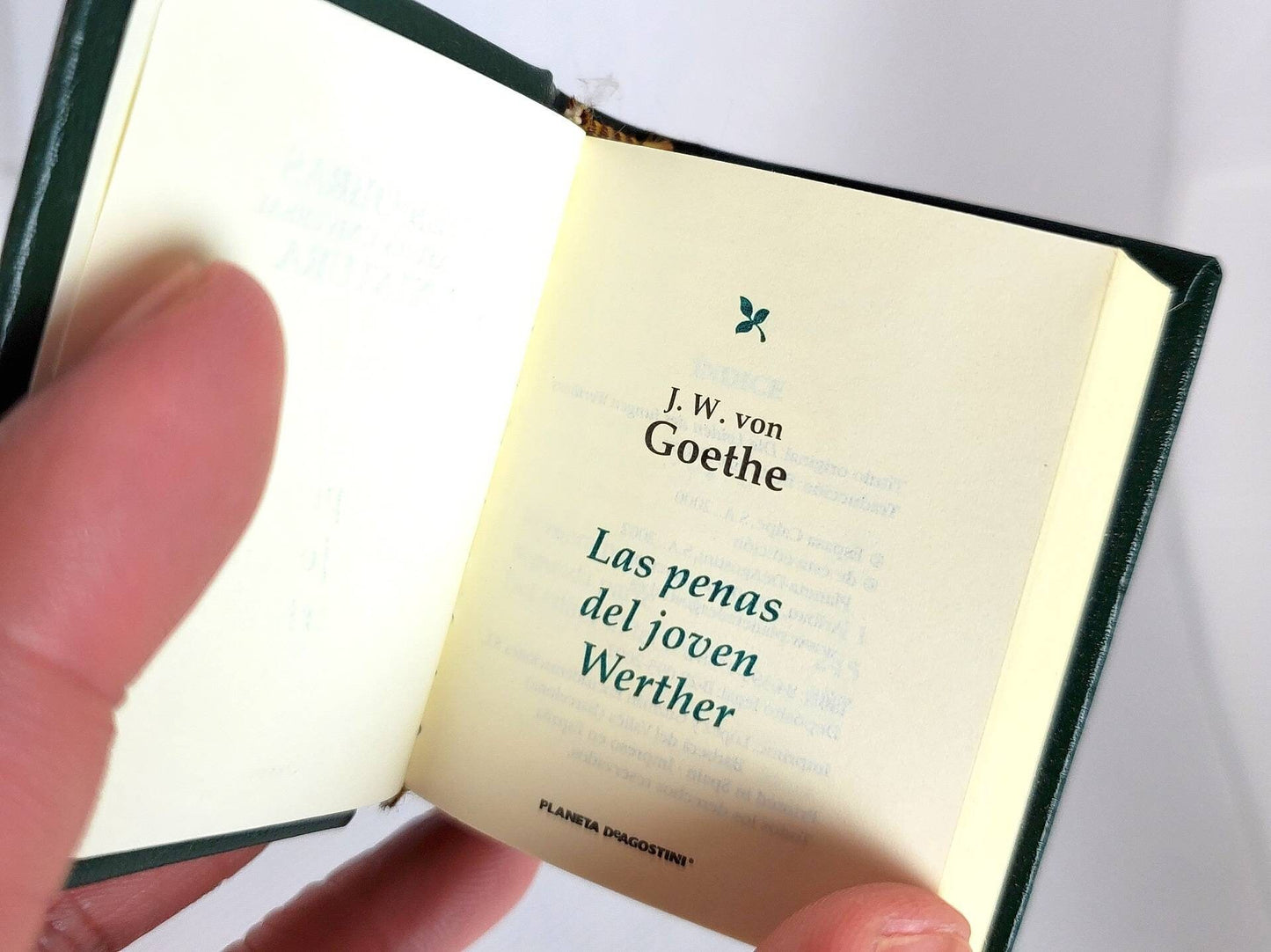 Las Penas Del Joven Werther (The Sorrows of Young Werther) by J.W. Goethe Spanish Language Miniature Book