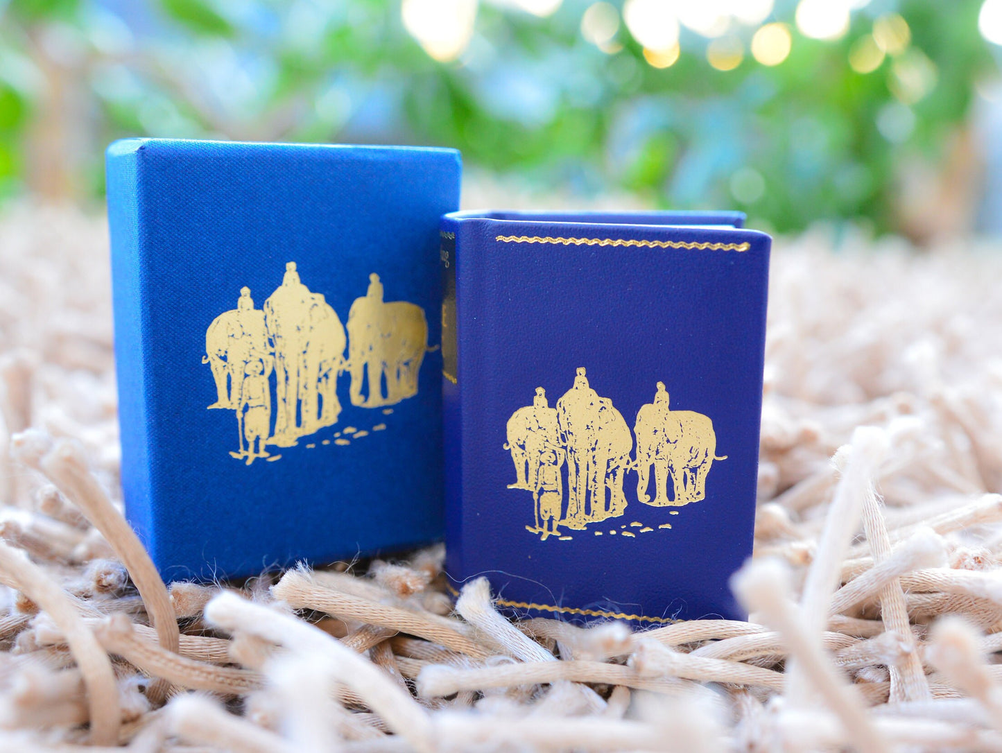 The Jungle Book by Rudyard Kipling Miniature Book