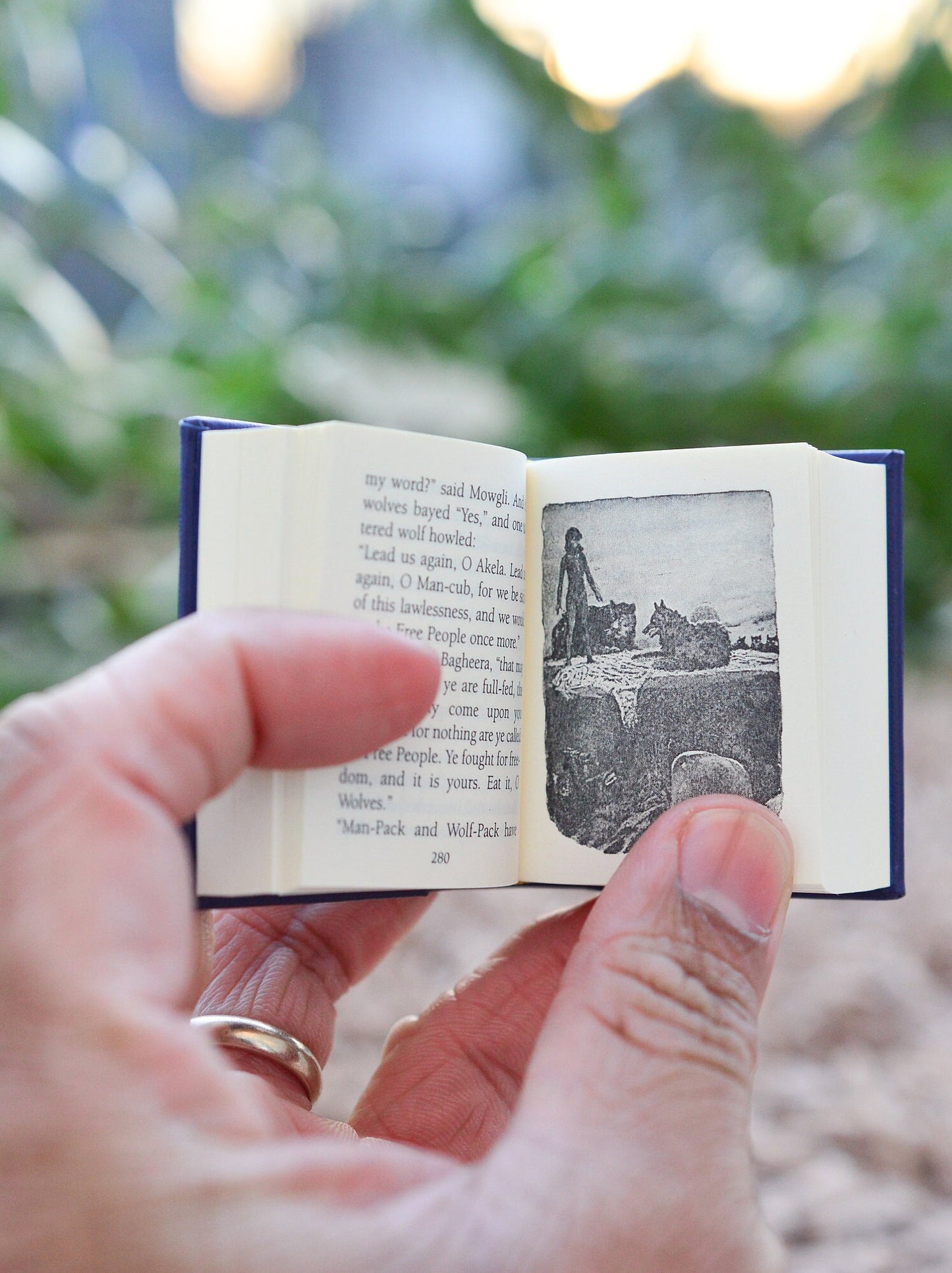 The Jungle Book by Rudyard Kipling Miniature Book