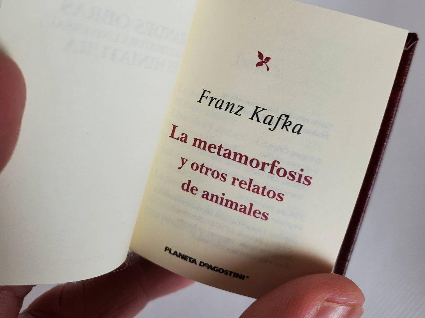 La Metamorfosis by Franz Kafka Spanish Language Miniature Book