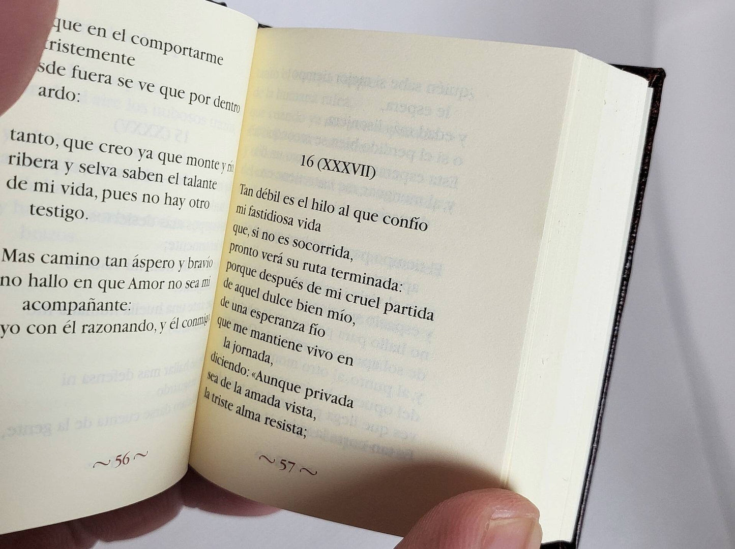 Cancionero Sonetos y Canciones by Francesco Petrarca