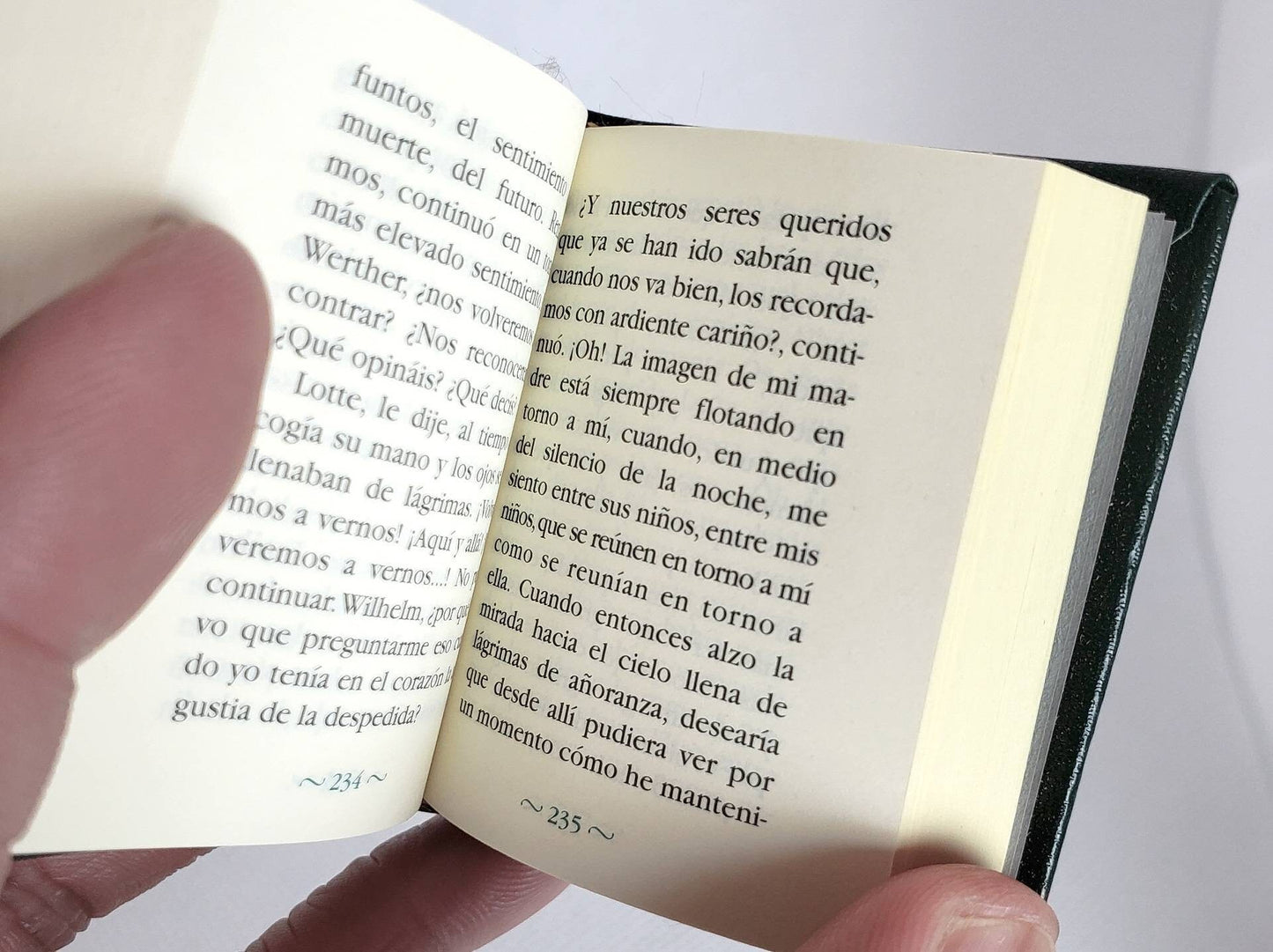 Las Penas Del Joven Werther (The Sorrows of Young Werther) by J.W. Goethe Spanish Language Miniature Book