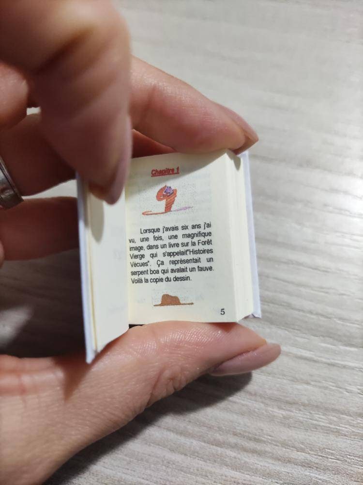 Le Petit Prince ( The Little Prince) by Antoine De Saint-Exupéry French language Dollhouse Micro Miniature Book
