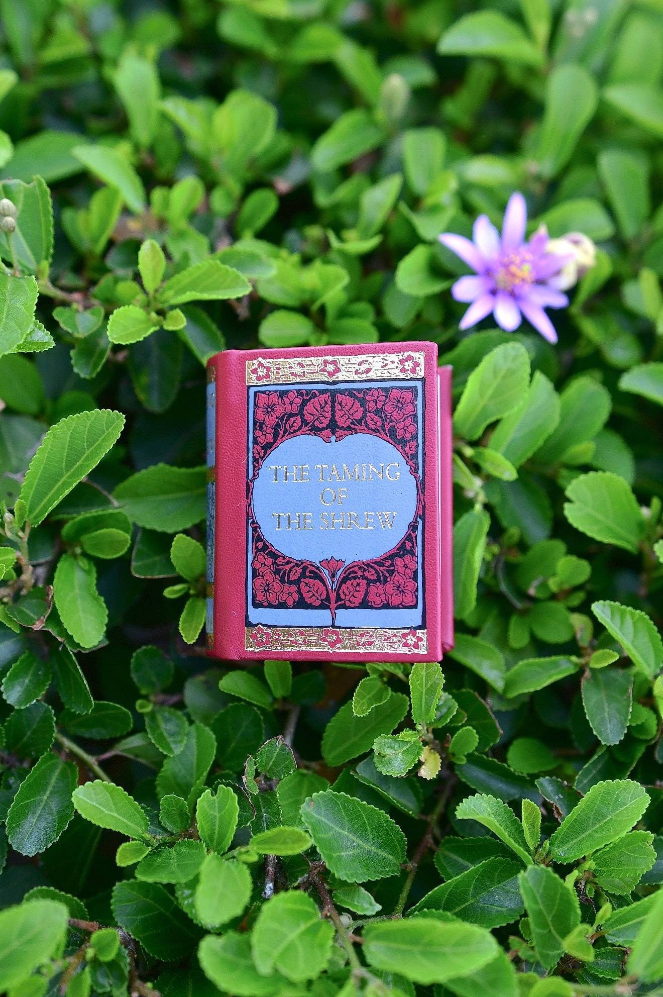 The Taming of the Shrew by William Shakespeare Miniature Book