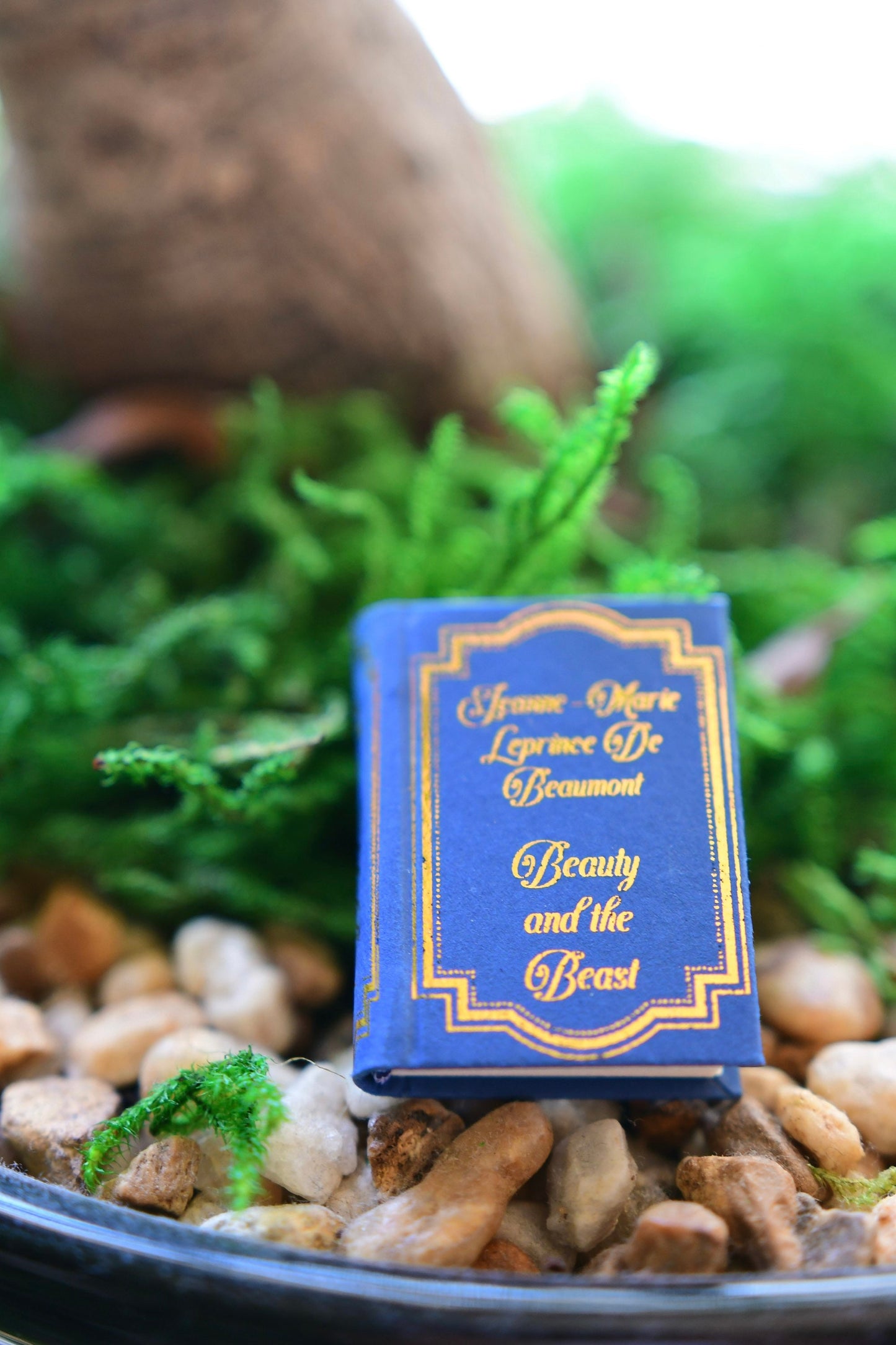 Fairy Tale Series Miniature Book Set Volume 1 featuring Cinderella, Beauty & The Beast, The Little Mermaid and Hansel and Gretel