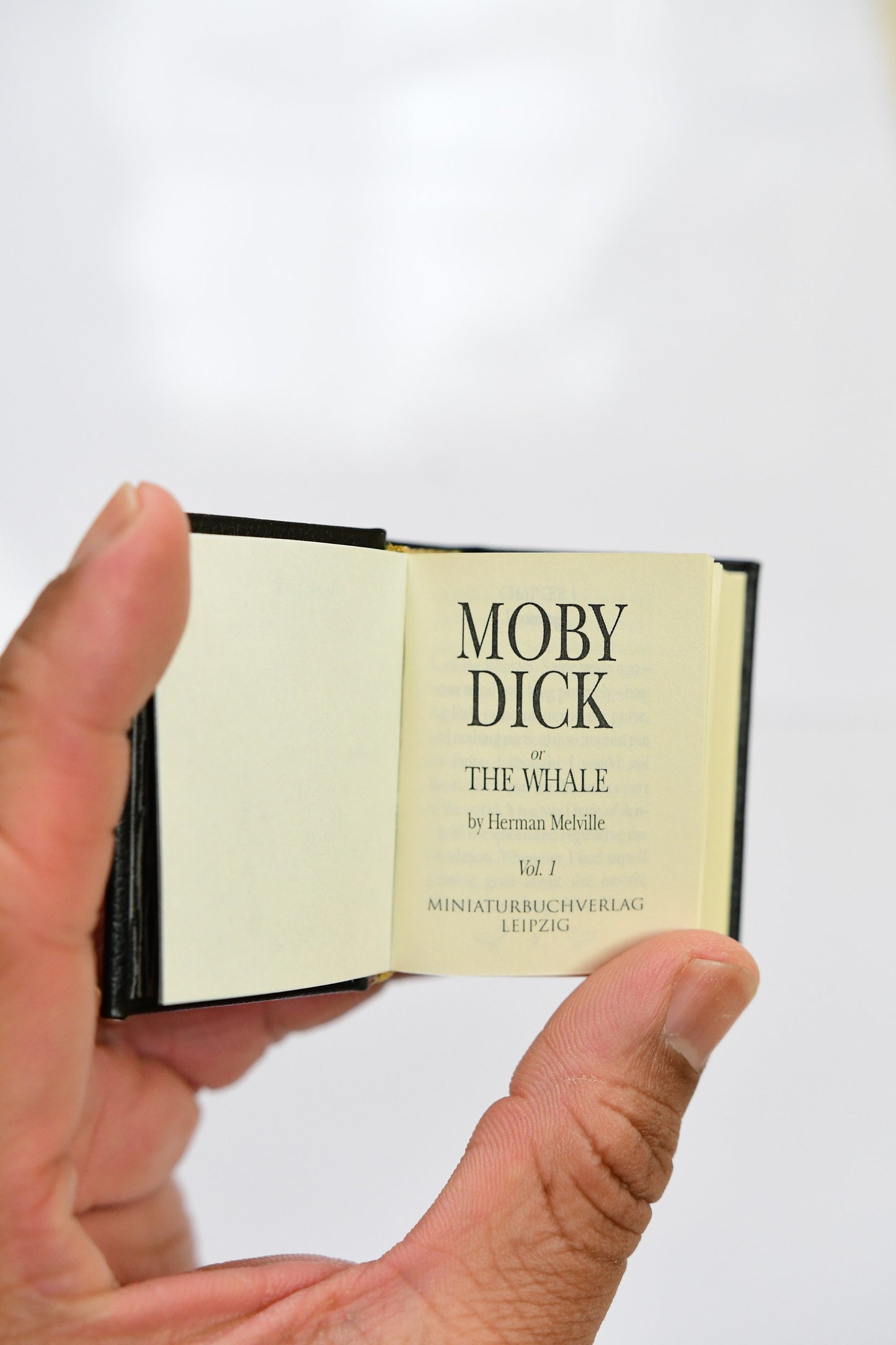 Moby Dick by Herman Melville 4 Volume Miniature Book Set