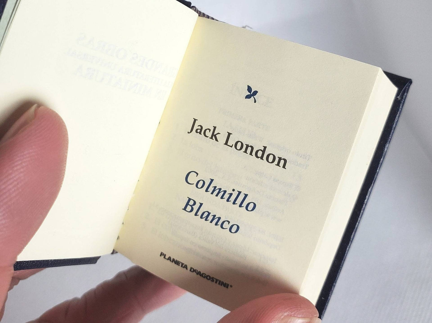 Colmillo Blanco (White Fang) by Jack London Spanish Language Miniature Book