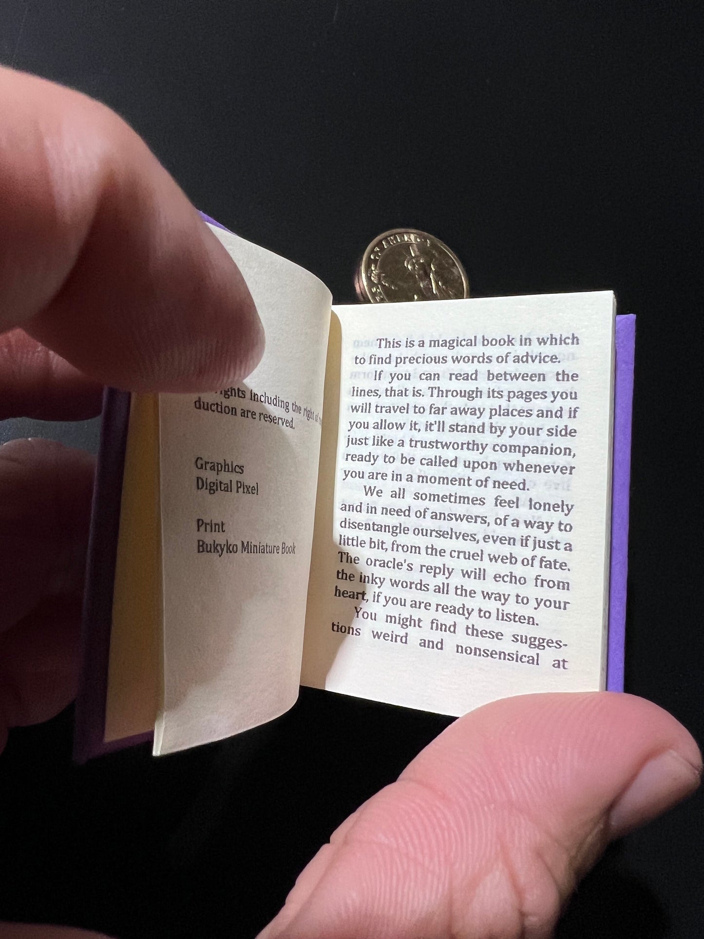 The Little Book of Magical Answers by Vega Roze  Miniature Book